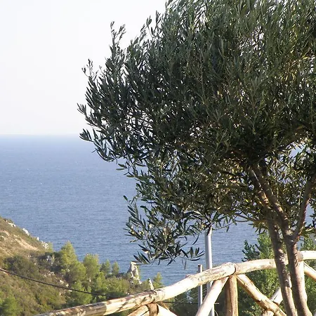 Palamidi 3* Agia Paraskevi (Kassandra)