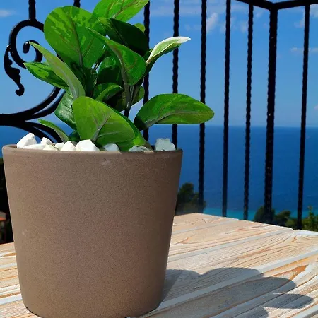 Ξενοδοχείο με διαμερίσματα παλαμίδι
